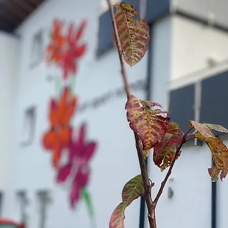 Art Nomay Summercard Blick Of Salzburg 公寓 卡普伦