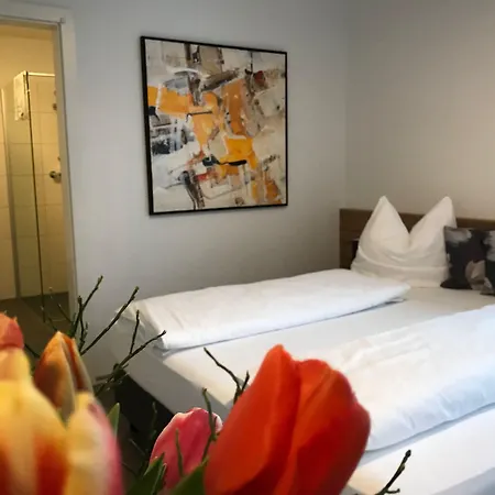 Art Nomay Summercard Blick Of Salzburg 公寓 *