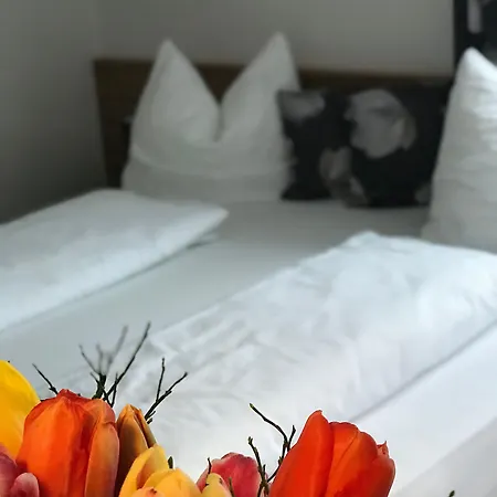 Art Nomay Summercard Blick Of Salzburg 公寓