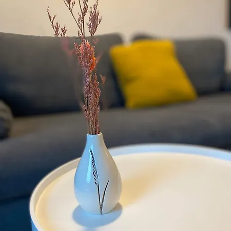 公寓 Art Nomay Summercard Blick Of Salzburg 卡普伦