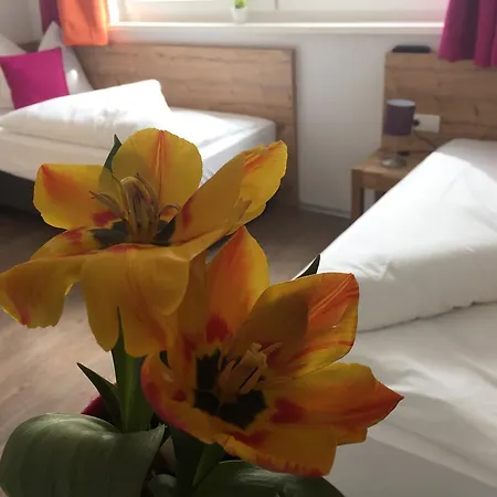 公寓 Art Nomay Summercard Blick Of Salzburg 卡普伦