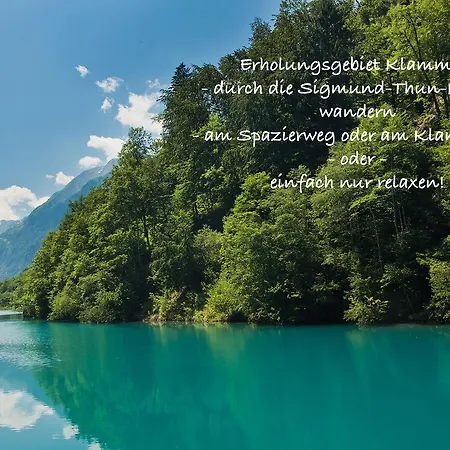 Art Nomay Summercard Blick Of Salzburg Apartment