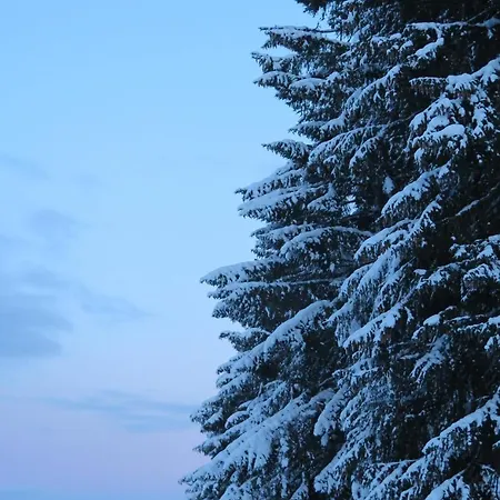 Art Nomay Summercard Blick Of Salzburg 公寓 *