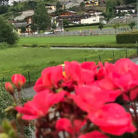 公寓 Art Nomay Summercard Blick Of Salzburg *