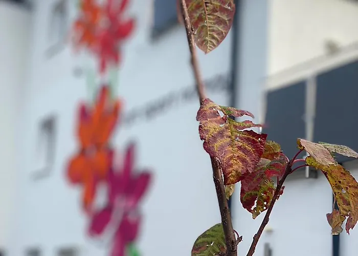 Art Nomay Summercard Blick Of Salzburg Apartman Kaprun