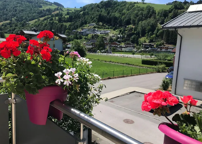 Art Nomay Summercard Blick Of Salzburg *