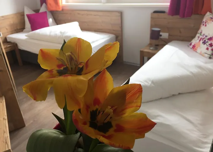 Apartman Art Nomay Summercard Blick Of Salzburg Kaprun