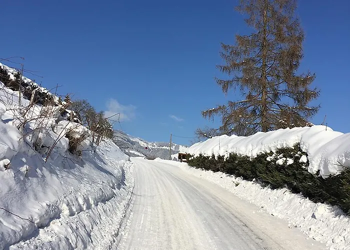 Апартаменты Art Nomay Summercard Blick Of Salzburg Капрун