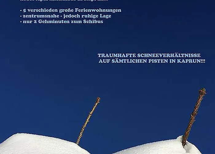 Апартаменты Art Nomay Summercard Blick Of Salzburg Капрун