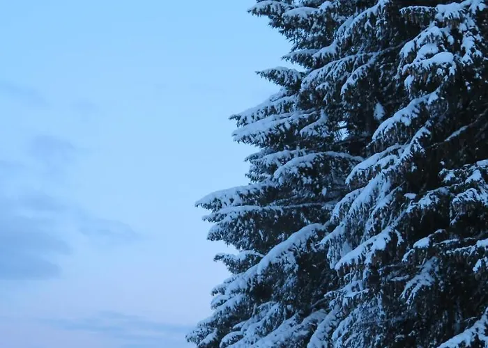 Art Nomay Summercard Blick Of Salzburg Апартаменты *