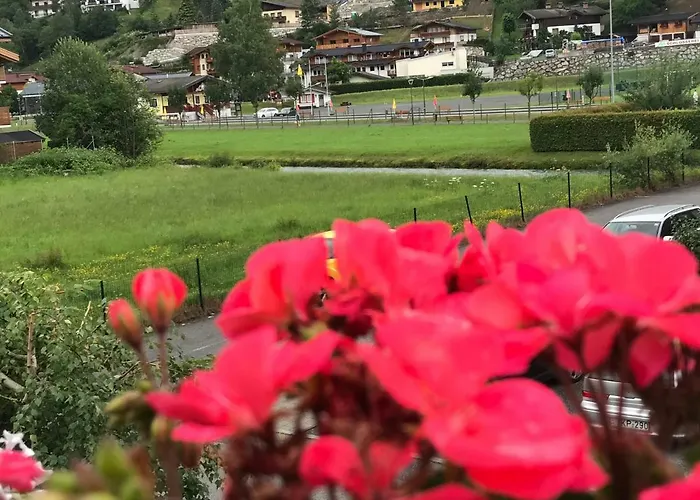 Апартаменты Art Nomay Summercard Blick Of Salzburg *